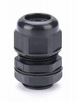 Изображение слайда